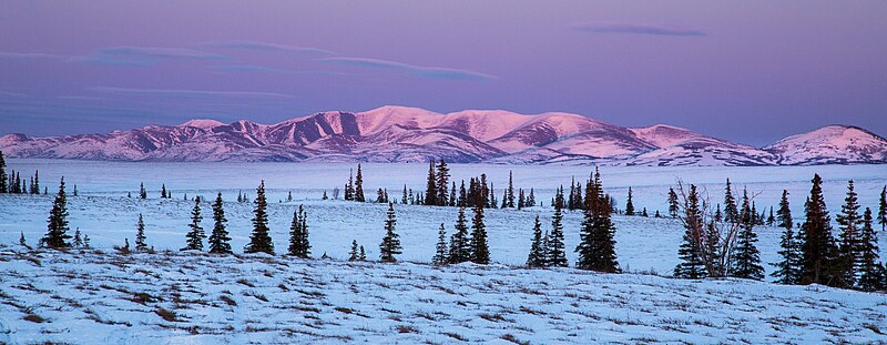 File:Iditarod National Historic Trail between Kaltag and Unalakleet.jpg