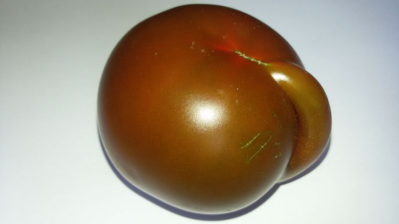 File:Imperfect Tomato - Bump1.jpg