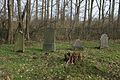 Jewish cemetery