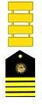 Insignia de Capitán de Navío MGP.jpg