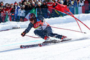 Deporte Esquí: Disciplinas, Competicións, Véxase tamén