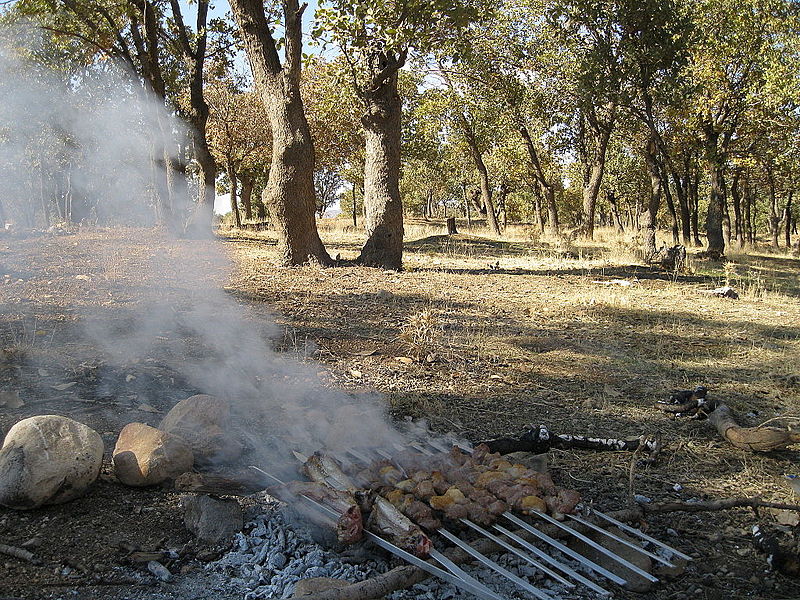 File:Kebab in Khorramabad.JPG