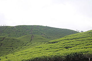 <span class="mw-page-title-main">Alahan Panjang</span> Village in West Sumatra, Indonesia