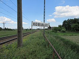 Station Kobiałki