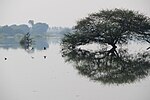 Thumbnail for Kongur wetland