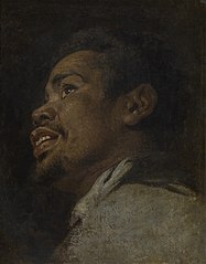 The Head of a Young Moor