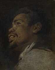 Head study of a black boy label QS:Len,"Head study of a black boy" 1631-1635. Museum of Fine Arts Ghent