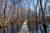 Miniatyrbild för Kyrksjölötens naturreservat