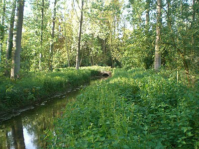 La Germaine à Sancourt en mai 2010