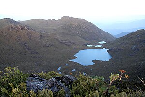 Biogeografía Páramo: Distribución, Tipos, Vegetación