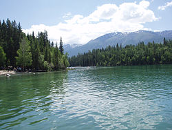 Beautiful blue water in the foreground with evergreen forest and mountains in the back ground