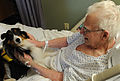 Obisk terapevtskega psa pri starejšem bolniku