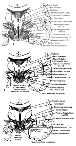 File:Lawrence 1960 21.2 D-F.png