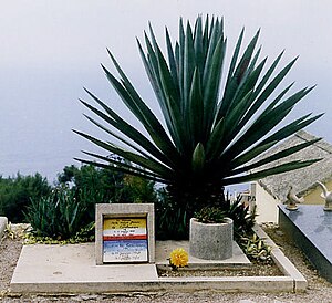 Le Corbusier grave.jpg