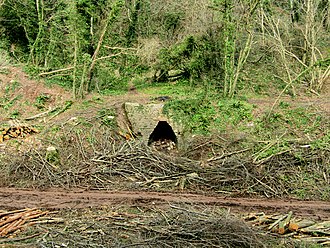 A limekiln in the valley Lime Kiln in Churston Woods, Brixham.jpg