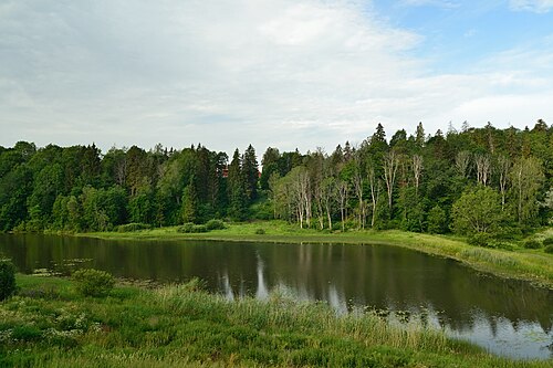 Река навести. Вильяндимаа Эстония. Viljandimaa.