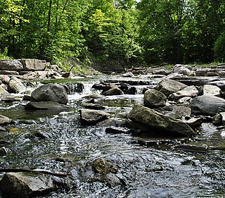 Little Etobicoke Creek river in Canada