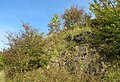 Čeština: Přírodní památka Lom Kozolupy, nedaleko obcí Kozolupy, Bubovice a Mořina, okres Beroun English: Natural monument Lom Kozolupy near villages Kozolupy, Bubovice and Mořina, Beroun District in Czech Republic