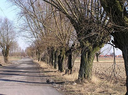 Jak dojechać komunikacją do Kępa Kiełpińska - O miejscu docelowym