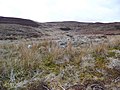 The desolate heathland surrounding Breakachy Burn