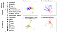 Multidimensional scaling analysis of various populations, including Jews and Palestinians MDS analysis of European, Jewish, and Middle Eastern populations.png