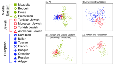 Multidimensional scaling analysis of Middle Eastern, Jewish and European populations.[104]