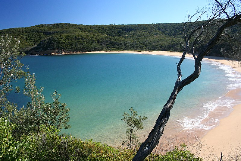 File:Maitland Bay How cool is this place - panoramio.jpg