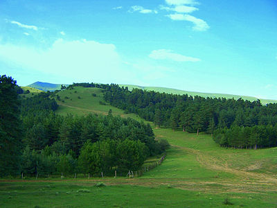 A field in Manglisi, Georgia