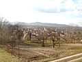 Hugstetten, March (Breisgau)