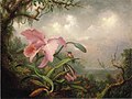 Martin Johnson Heade - Orchid and Hummingbird (14978439927).jpg