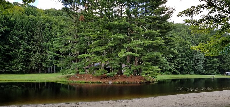 File:Mashamquet Brook State Park.jpg