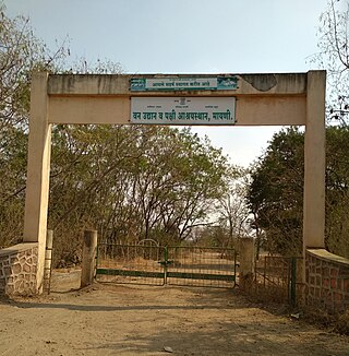 <span class="mw-page-title-main">Mayani Bird Sanctuary</span> Bird sanctuary in India