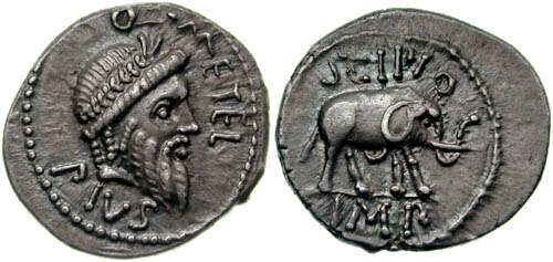 Denarius issued by Metellus Scipio as Imperator in North Africa, 47–46 BC, depicting Jupiter and on the reverse an elephant