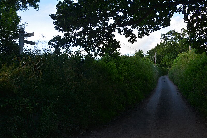 File:Mid Devon , Country Lane - geograph.org.uk - 5065474.jpg