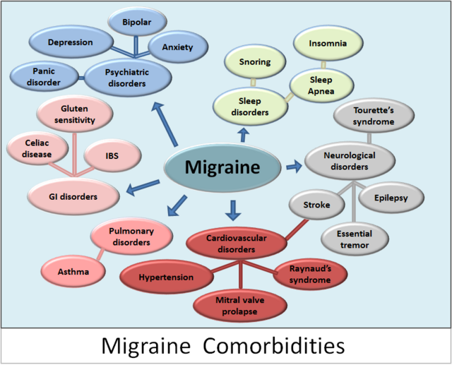Retinal migraine - Wikipedia