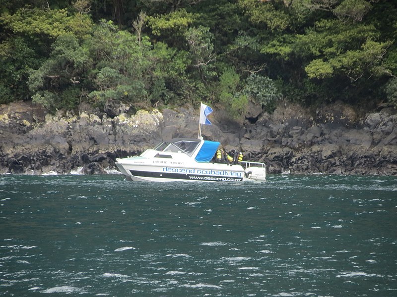 File:Milford Sound, South Island (483107) (9485405280).jpg