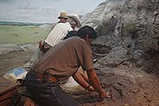 Hell Creek Formation Montana Today