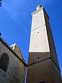 Selahedînê minaret