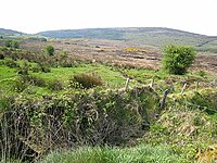 Moorland on the northern slopes of the Bricklieve Mountains - geograph.org.uk - 1609485.jpg