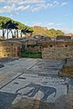 Mosaics of the Market Place, Ostia Antica (32937936918).jpg