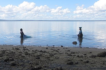 Local women fishing with mosquito nets