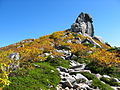 西側から見た金峰山