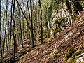 * Nomination Hiking trail Mehlbeerensteig on the Hohlen Berg near Muggendorf --Ermell 07:59, 23 June 2022 (UTC) * Promotion  Support Good quality. --Steindy 11:11, 23 June 2022 (UTC)