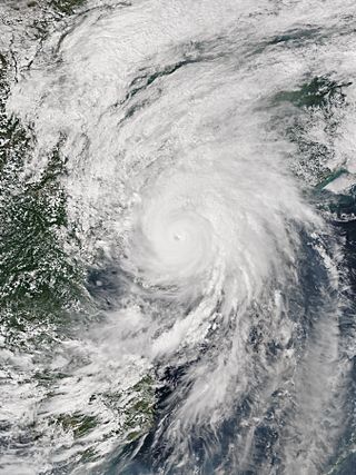 <span class="mw-page-title-main">Typhoon Mujigae</span> Pacific typhoon in 2015