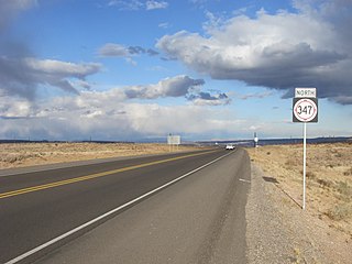 <span class="mw-page-title-main">New Mexico State Road 347</span> Highway in New Mexico