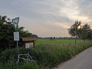 Prairies à l'est du Latumer Bruch