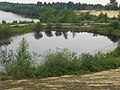 Národní park De Maasduinen (33) .JPG