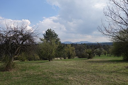 Naturschutzgebiet Warrenberg