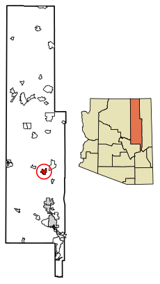 Navajo County Arizona Incorporated and Unincorporated areas Holbrook Highlighted 0433280.svg