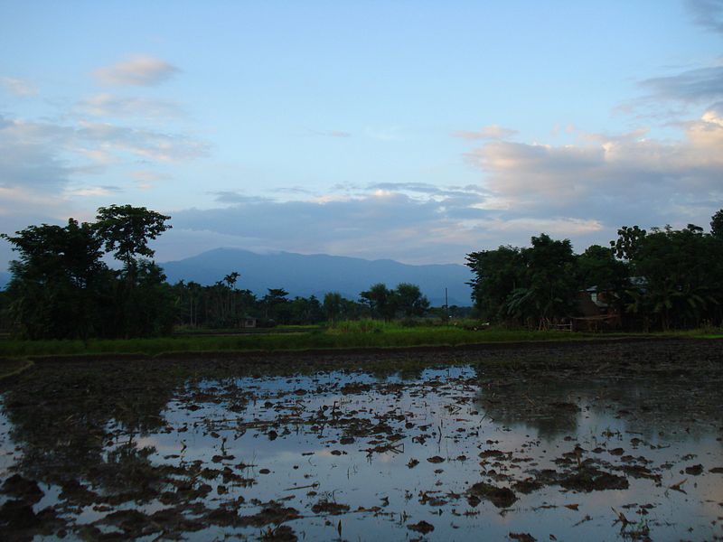 File:Nepal terai.jpg